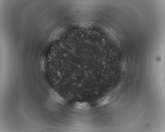 X0000090710185200708101513