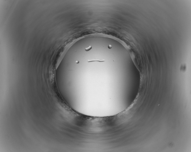 X0000090710186200708101513