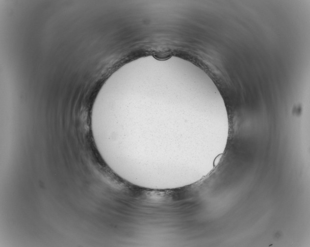 X0000090710187200708101513