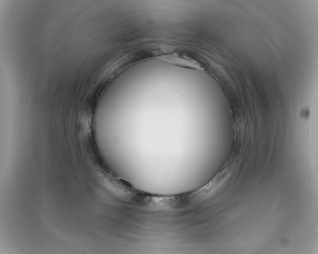 X0000090710188200708101513