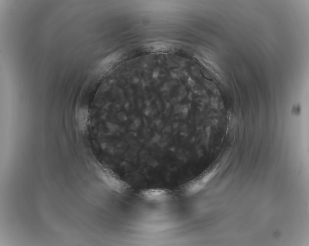 X0000090710189200708101513