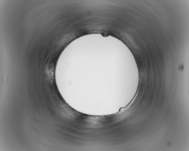 X0000090710190200708101513