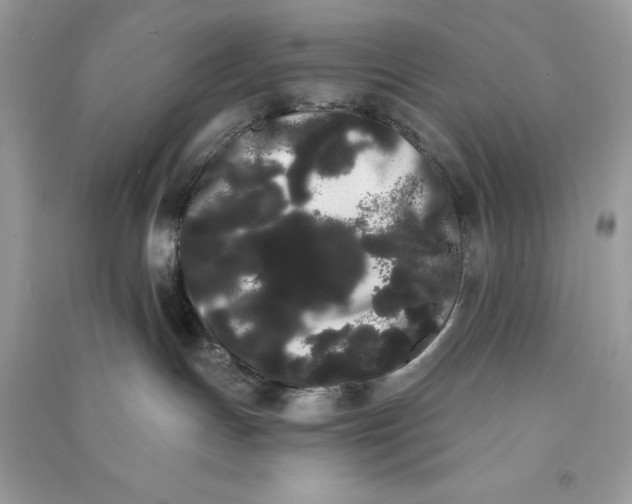 X0000090710191200708101513