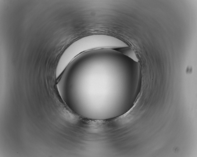 X0000090710192200708101513