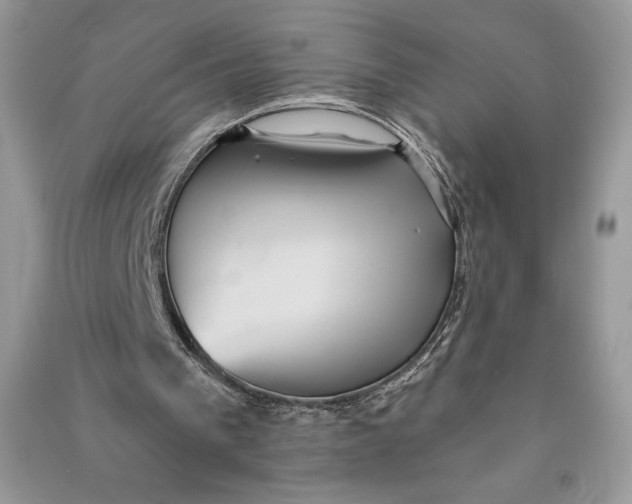 X0000090710193200708101513