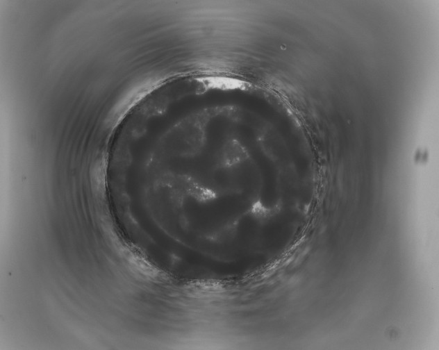 X0000090710194200708101513