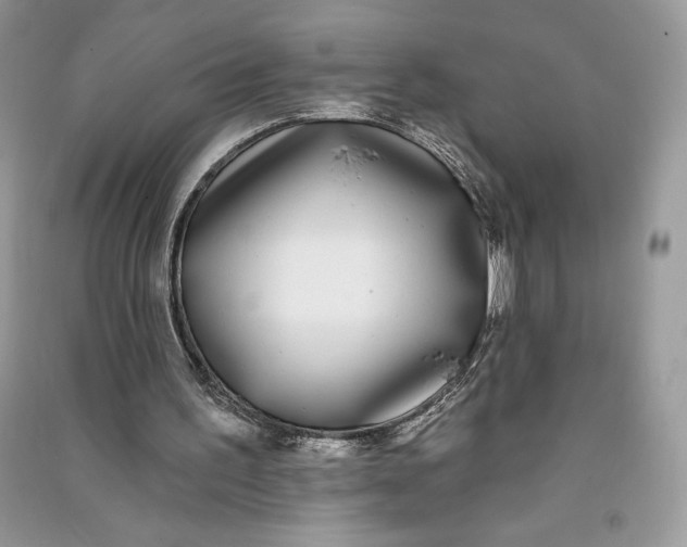 X0000090710195200708101513