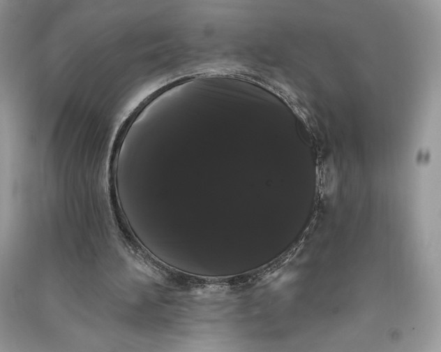 X0000090710196200708101513