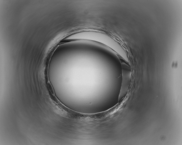 X0000090710197200708101513