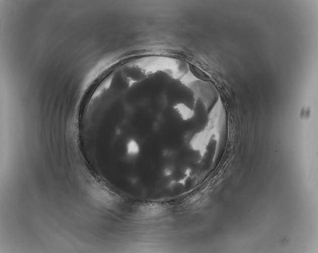 X0000090710198200708101513