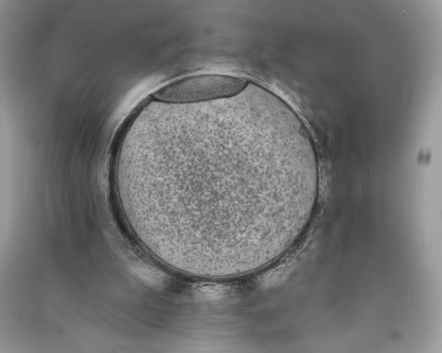 X0000090710199200708101513