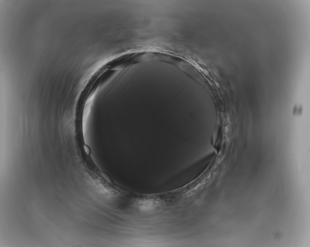 X0000090710200200708101513