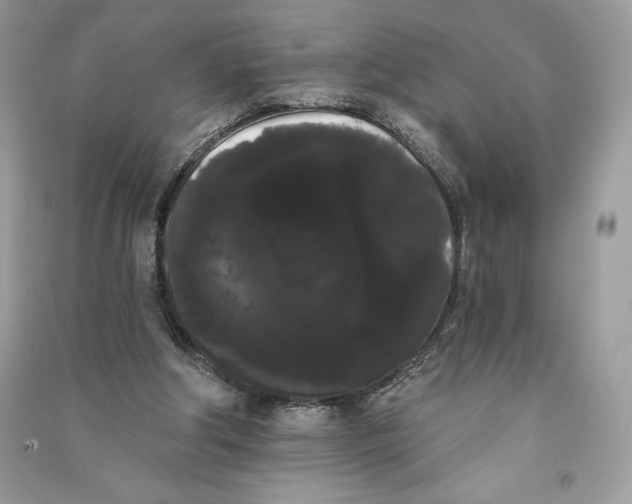 X0000090710202200708101513