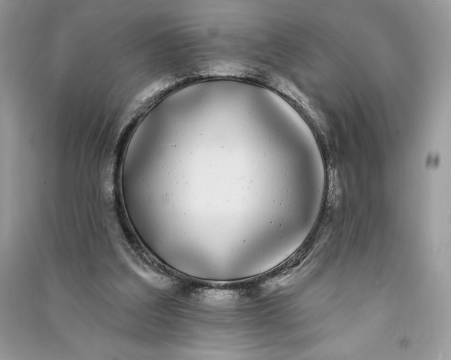 X0000090710203200708101513