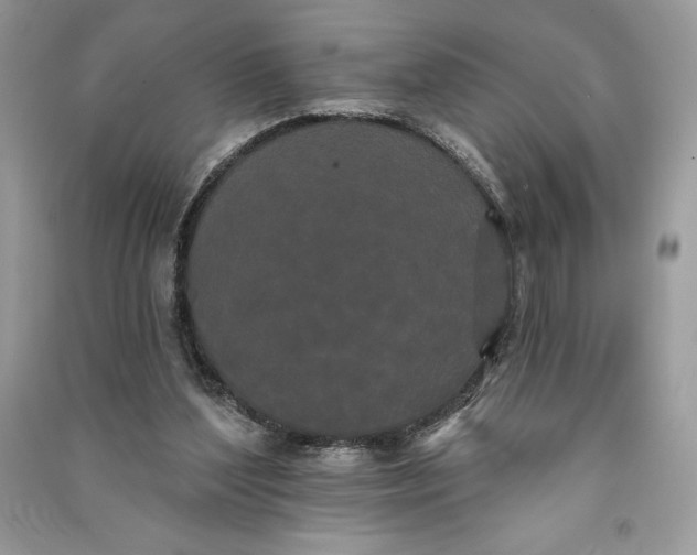 X0000090710204200708101513