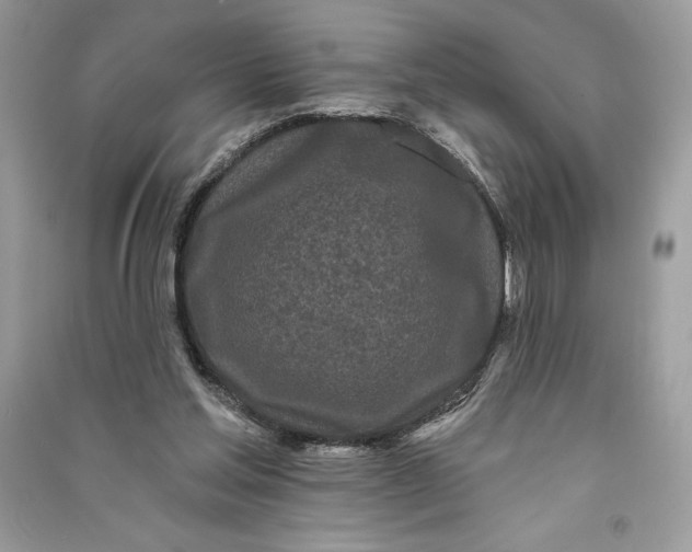 X0000090710205200708101513