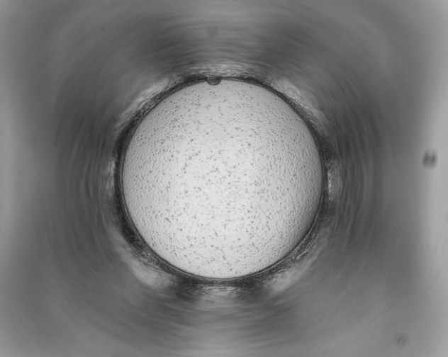 X0000090710206200708101513