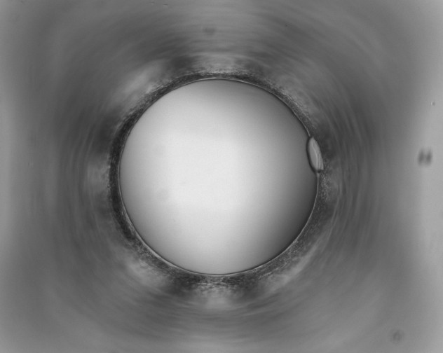 X0000090710207200708101513