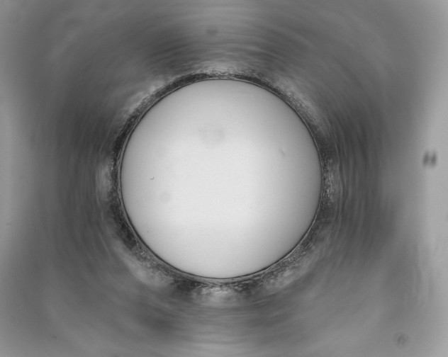 X0000090710208200708101513