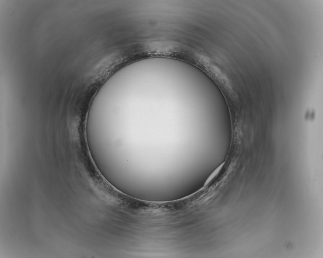 X0000090710209200708101513