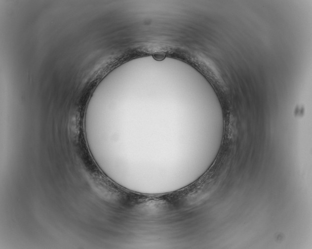 X0000090710210200708101513