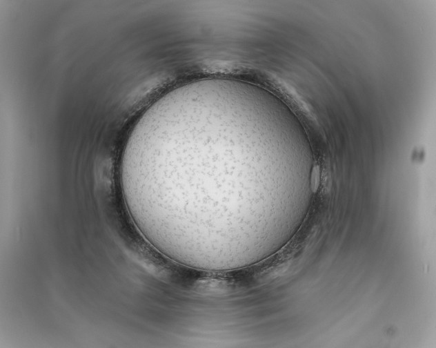 X0000090710211200708101513