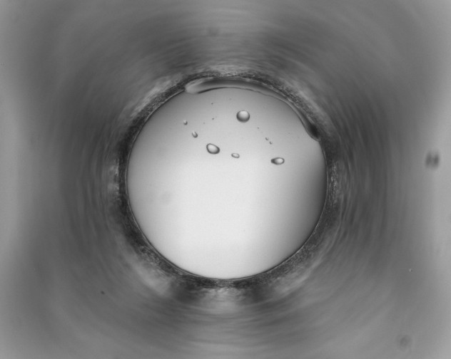 X0000090710212200708101513