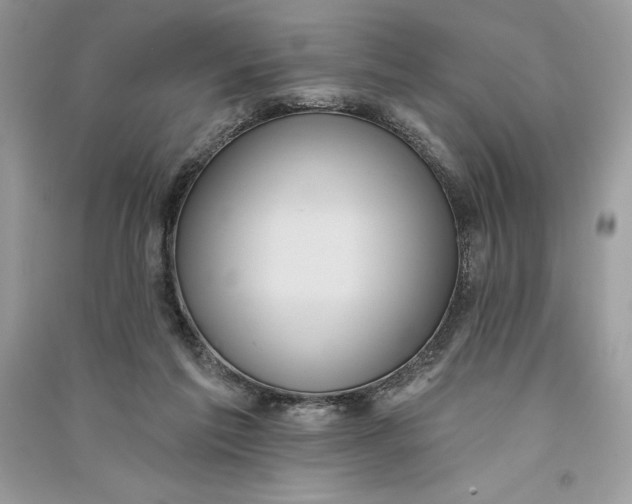 X0000090710213200708101512