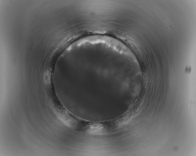 X0000090710214200708101512