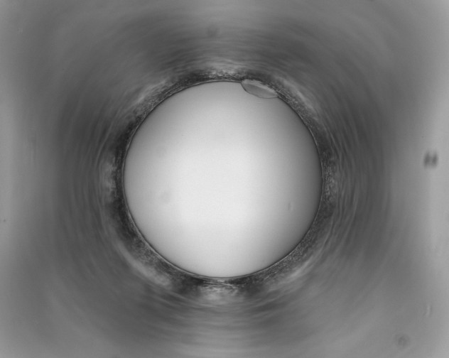 X0000090710215200708101512