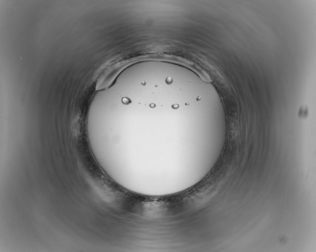 X0000090710216200708101512