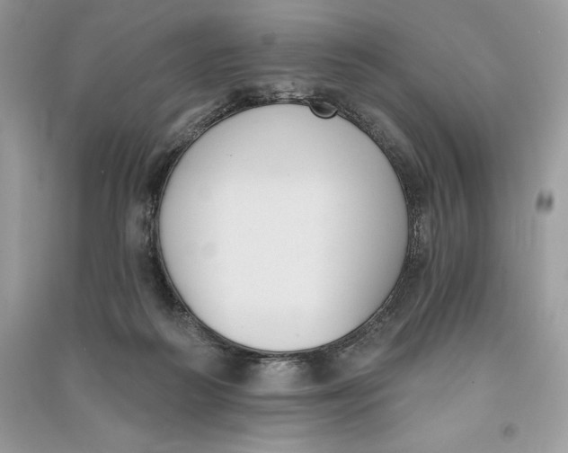 X0000090710218200708101512