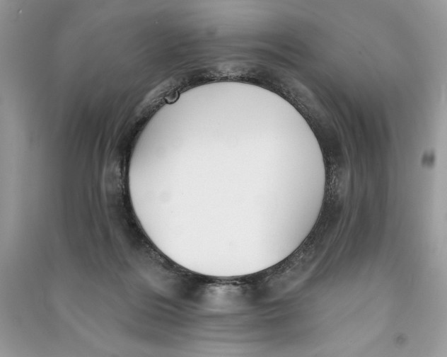 X0000090710220200708101512