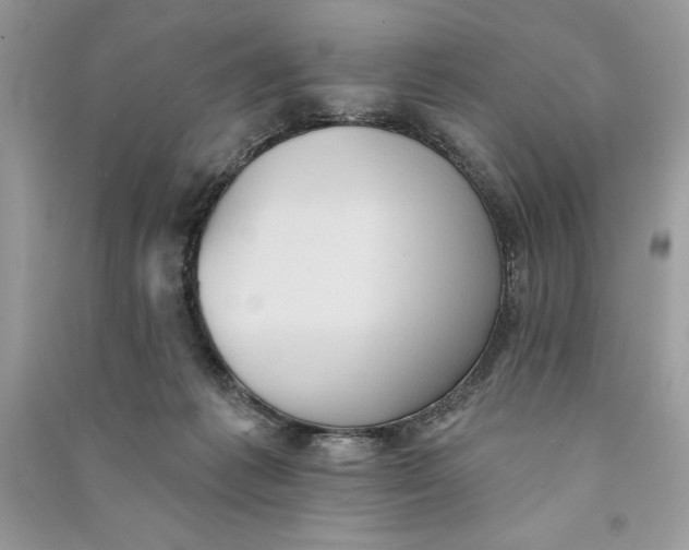 X0000090710221200708101512