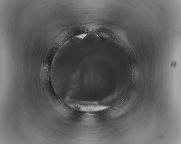 X0000090710222200708101512