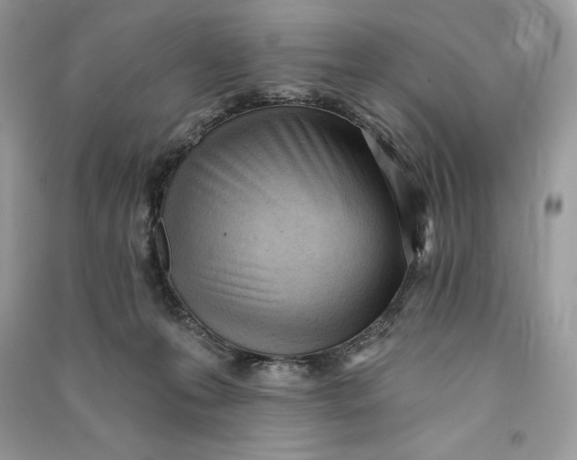 X0000090710223200708101512