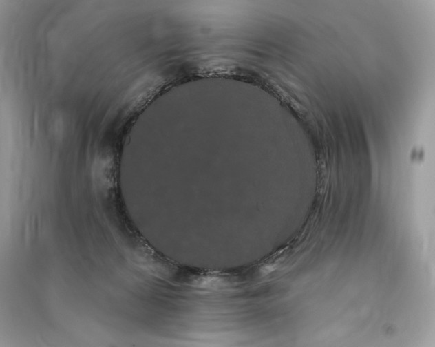 X0000090710224200708101512