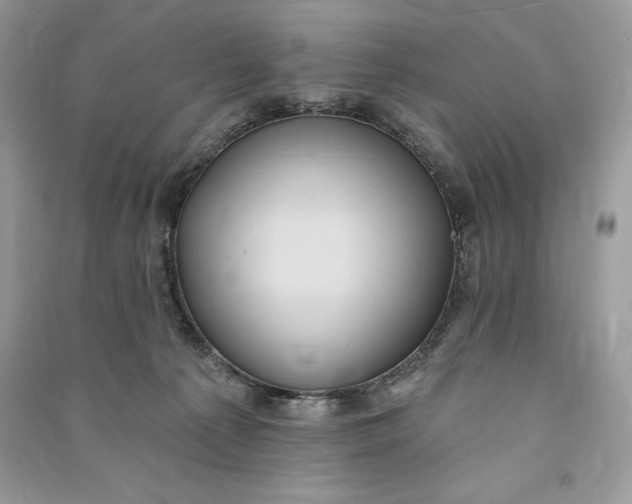 X0000090710225200708101512