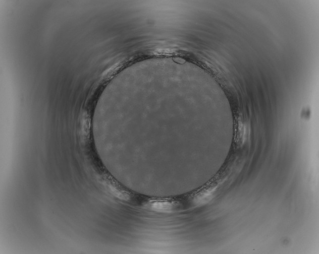 X0000090710228200708101512