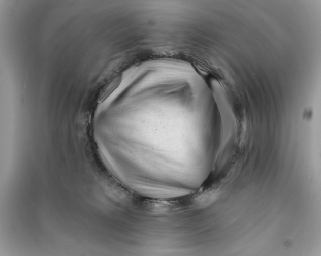 X0000090710229200708101512