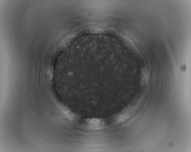 X0000090710230200708101512