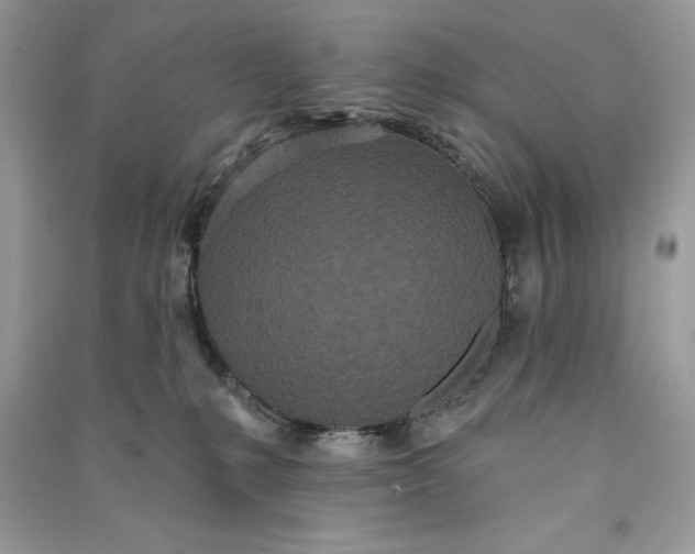 X0000090710231200708101512