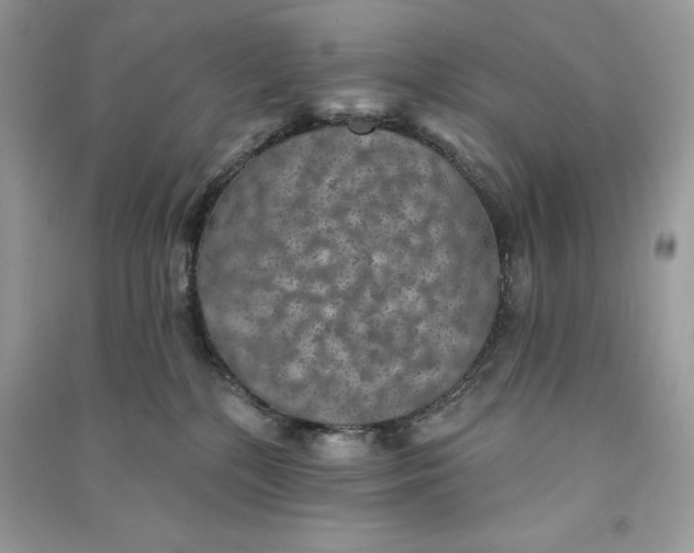 X0000090710232200708101512