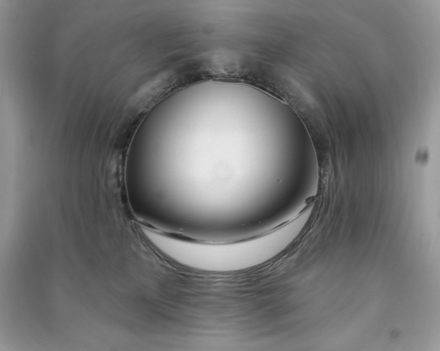 X0000090710233200708101512