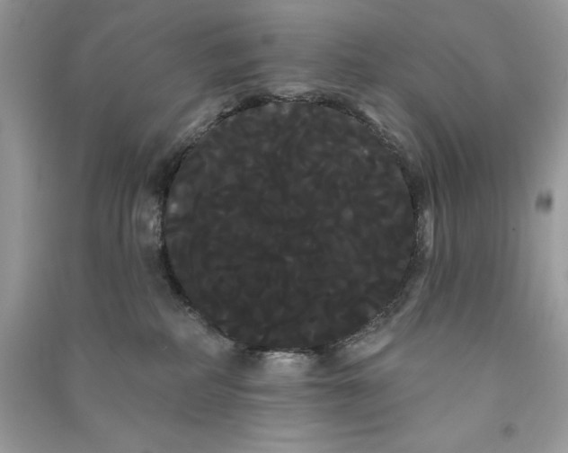 X0000090710234200708101512