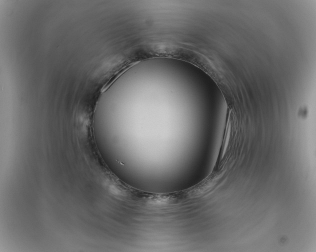 X0000090710235200708101512