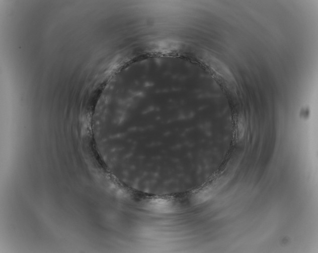 X0000090710236200708101512