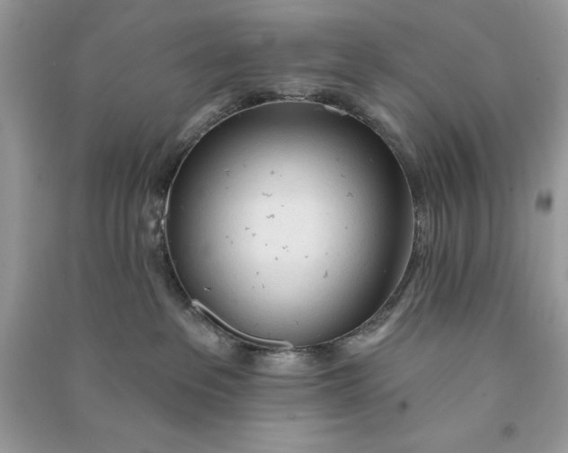 X0000090710237200708101512