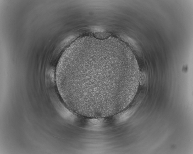 X0000090710238200708101512