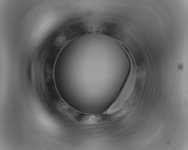 X0000090710239200708101512